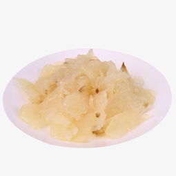 千庫網高清免費海蜇素材下載 白色透明海蜇（編號7779354）產品實物PNG圖片